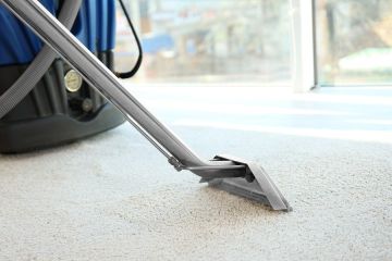 Carpet Steam Cleaning in East Northport by Certified Green Team